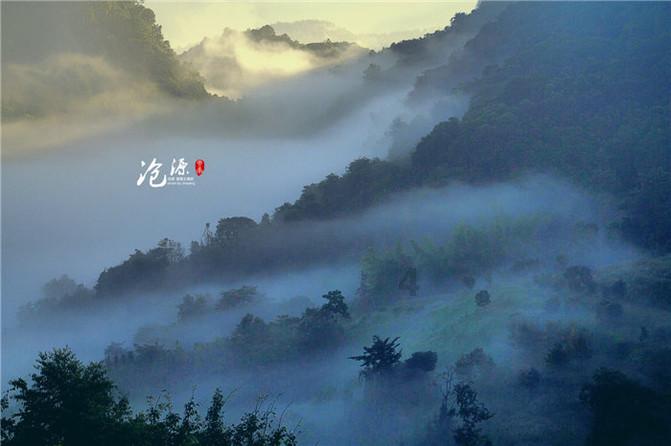 僵尸躲避战